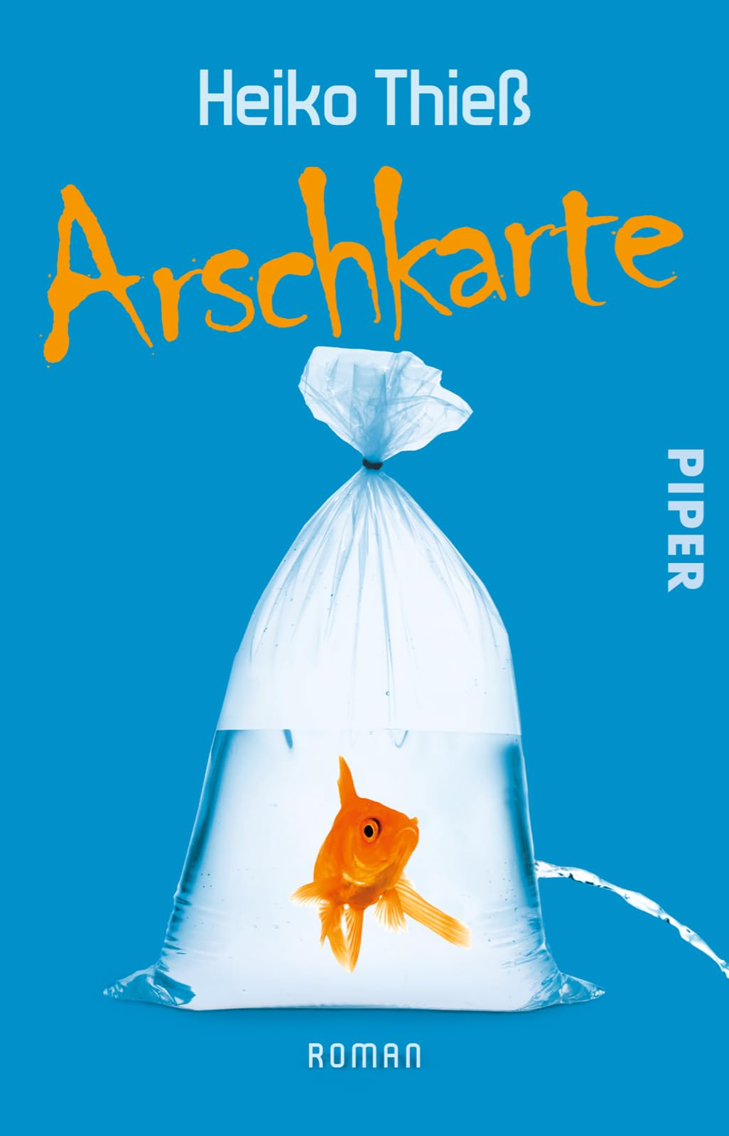 Arschkarte Contemporary literature Books