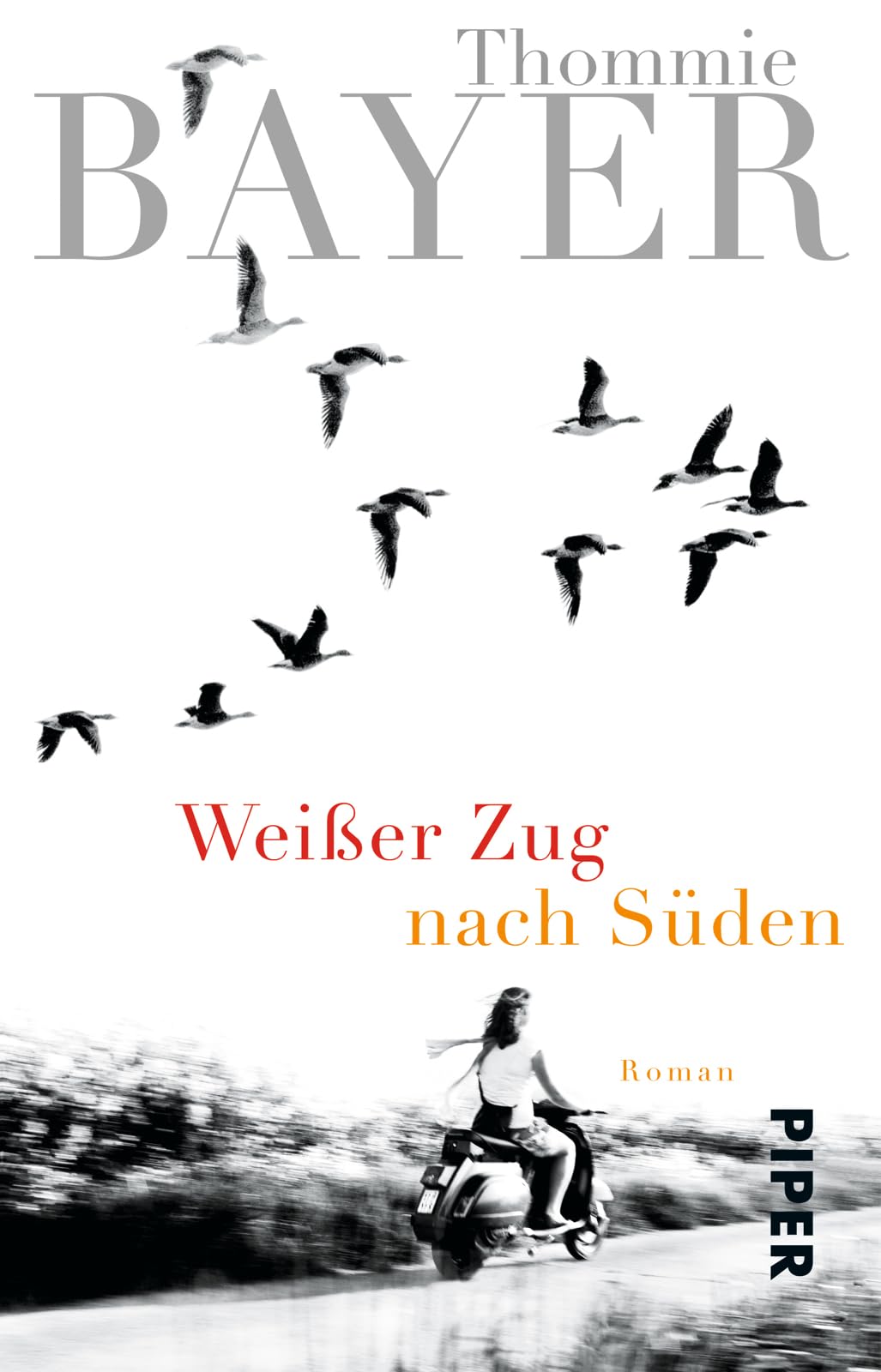 Weißer Zug nach Süden Contemporary literature