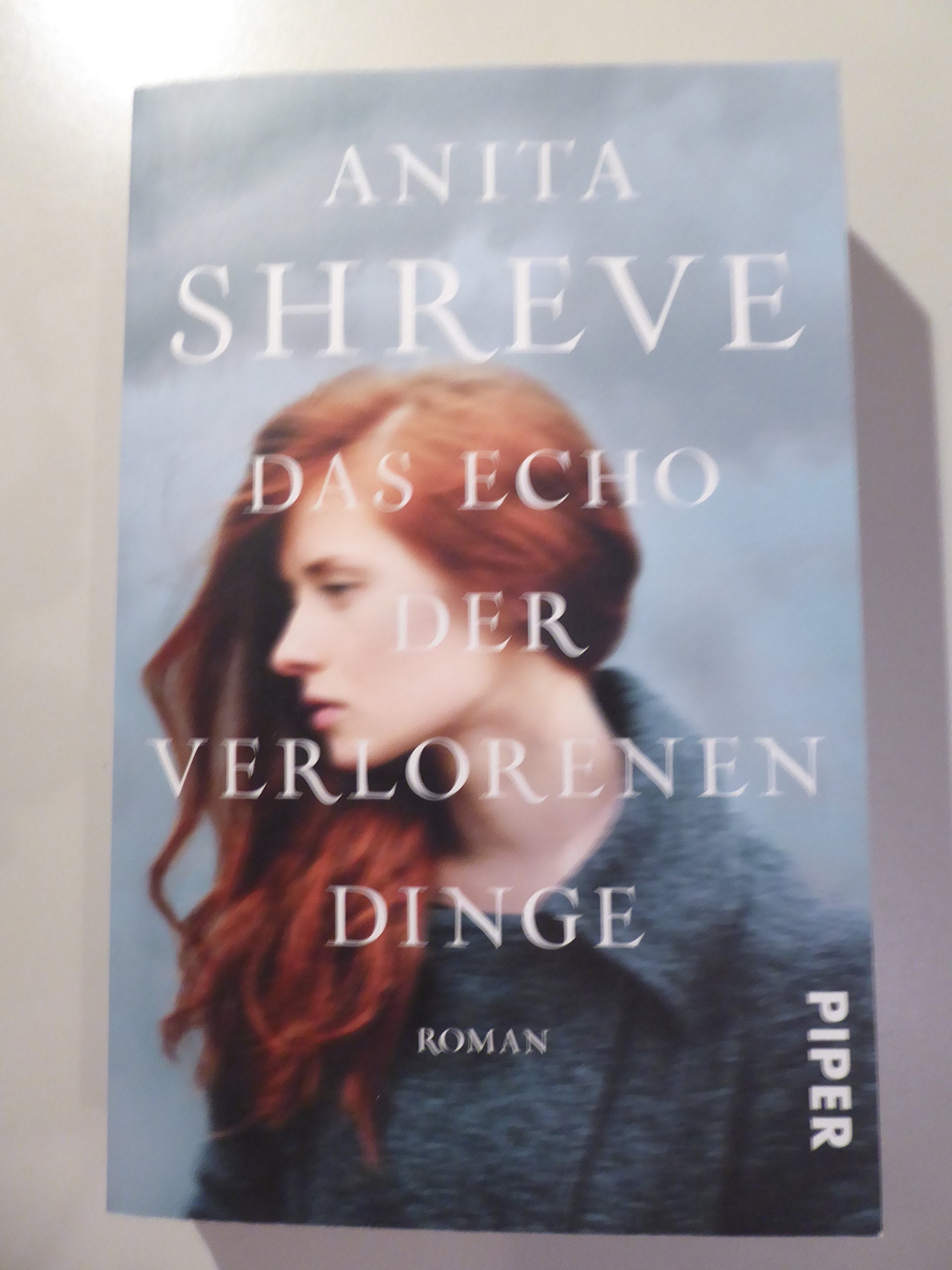Das Echo der verlorenen Dinge: Roman Contemporary literature