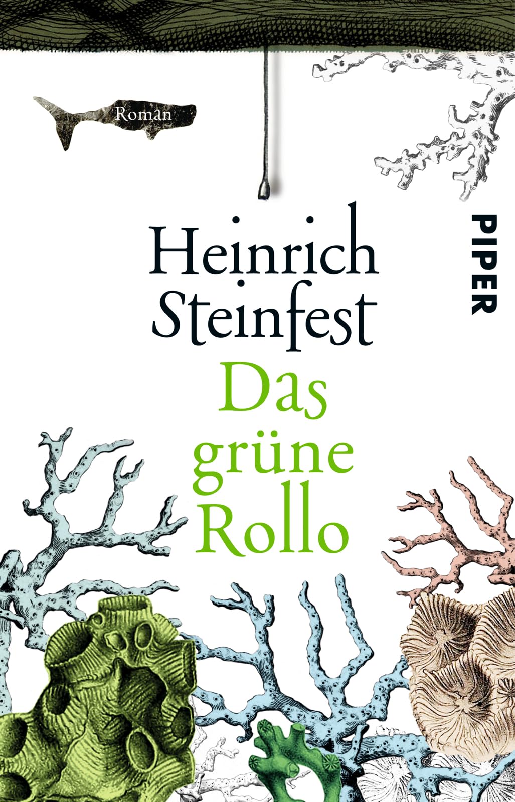 Product Image: Das grüne Rollo