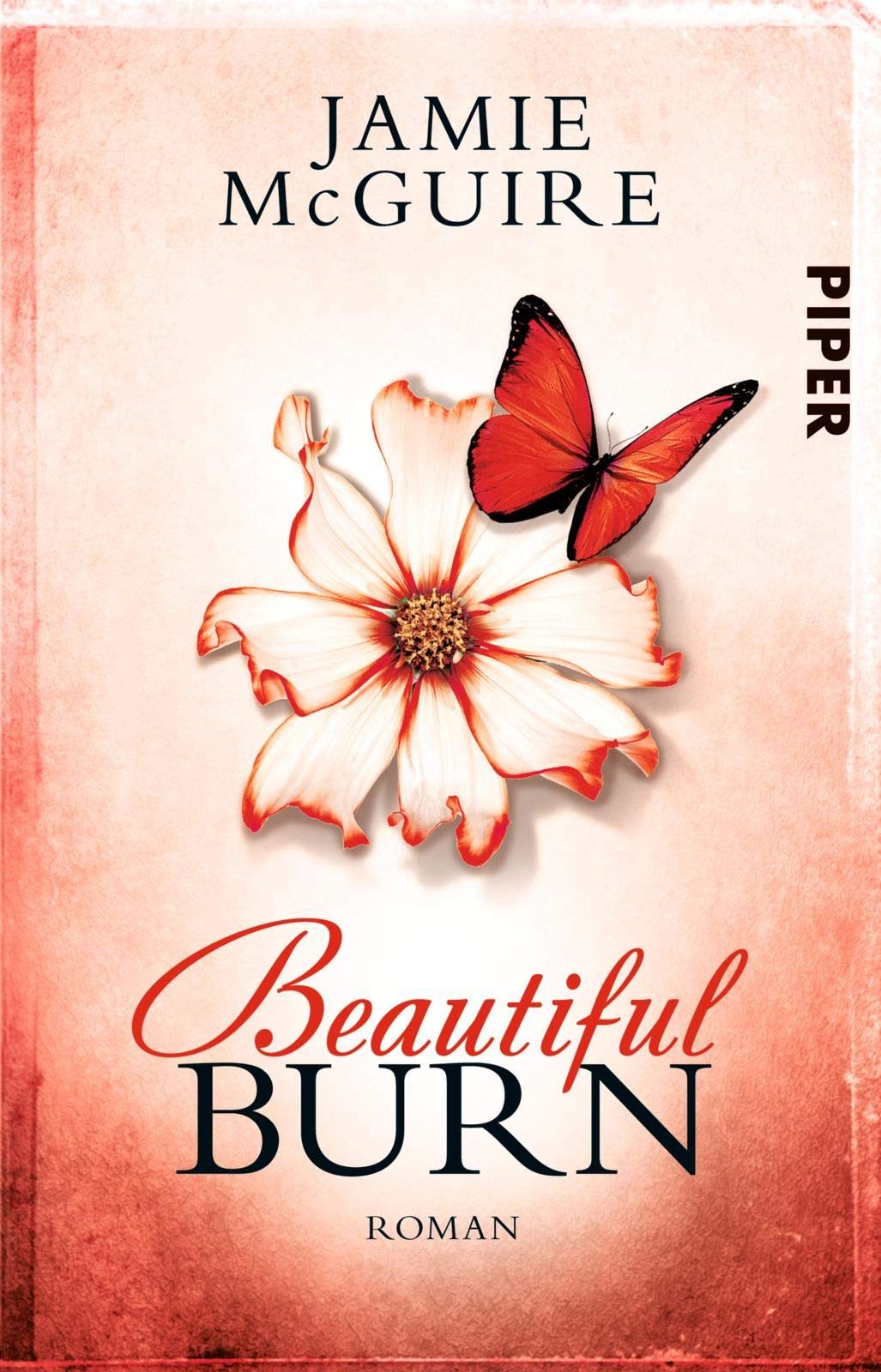 Beautiful Burn Contemporary literature Books