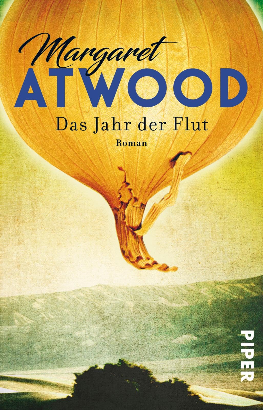 Das Jahr der Flut Contemporary literature