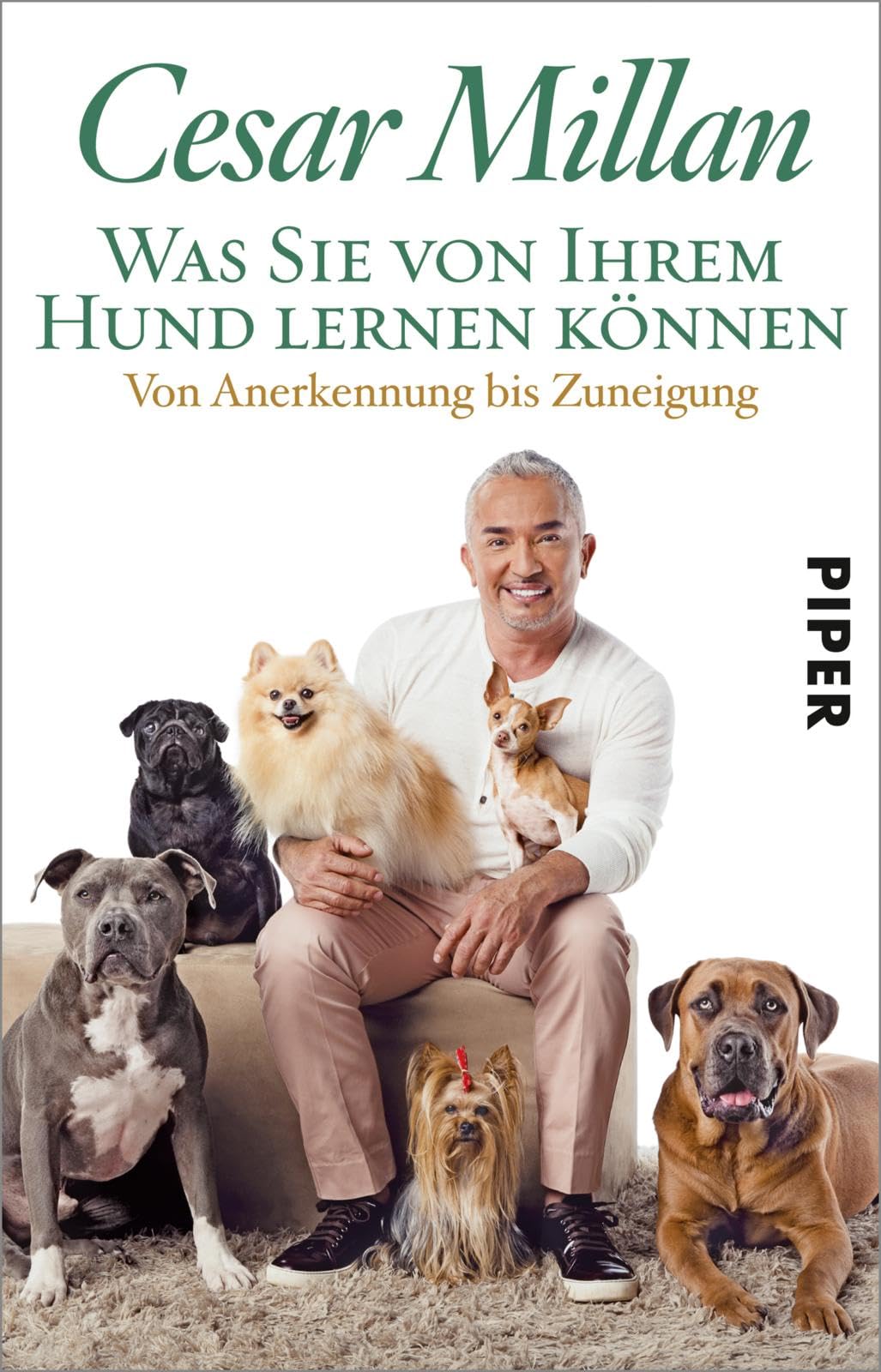Was Sie von Ihrem Hund lernen können Pets