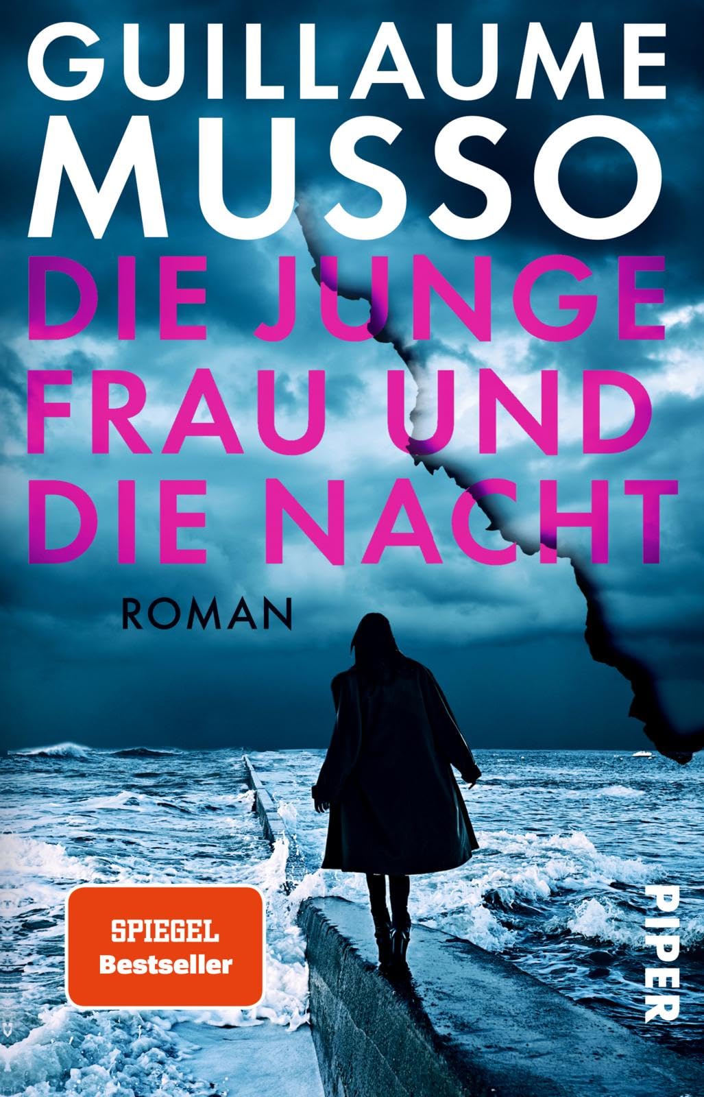 Die junge Frau und die Nacht Contemporary literature