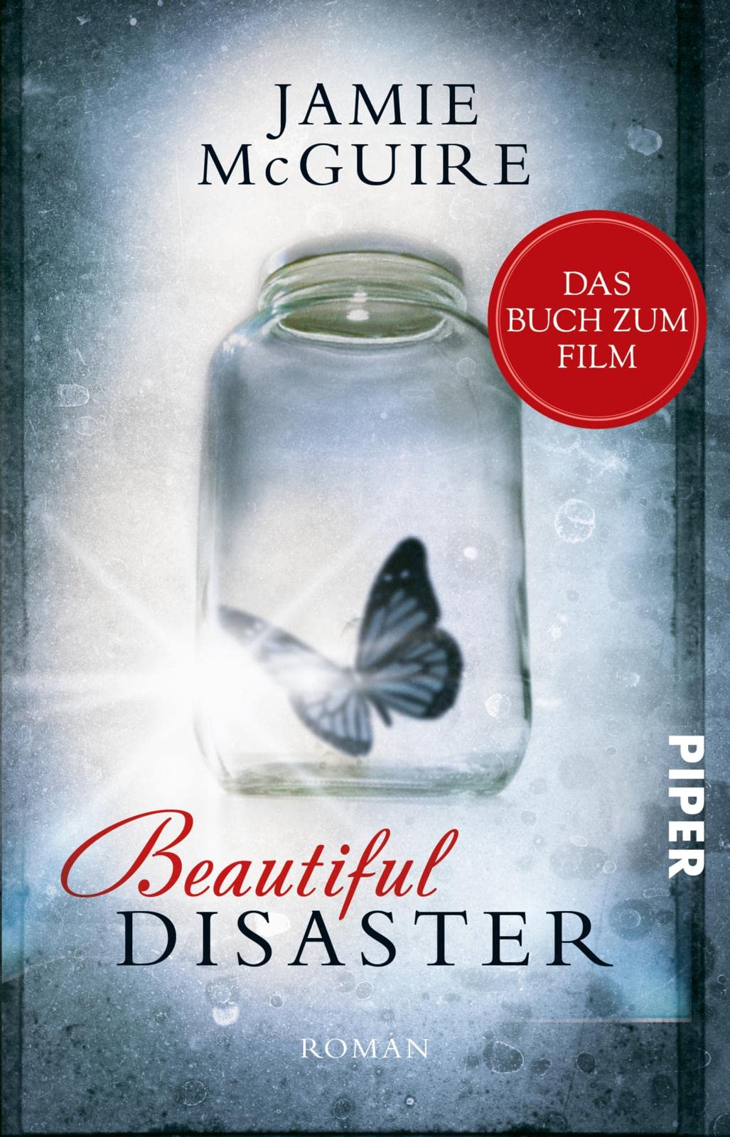 Beautiful Disaster Contemporary literature Books