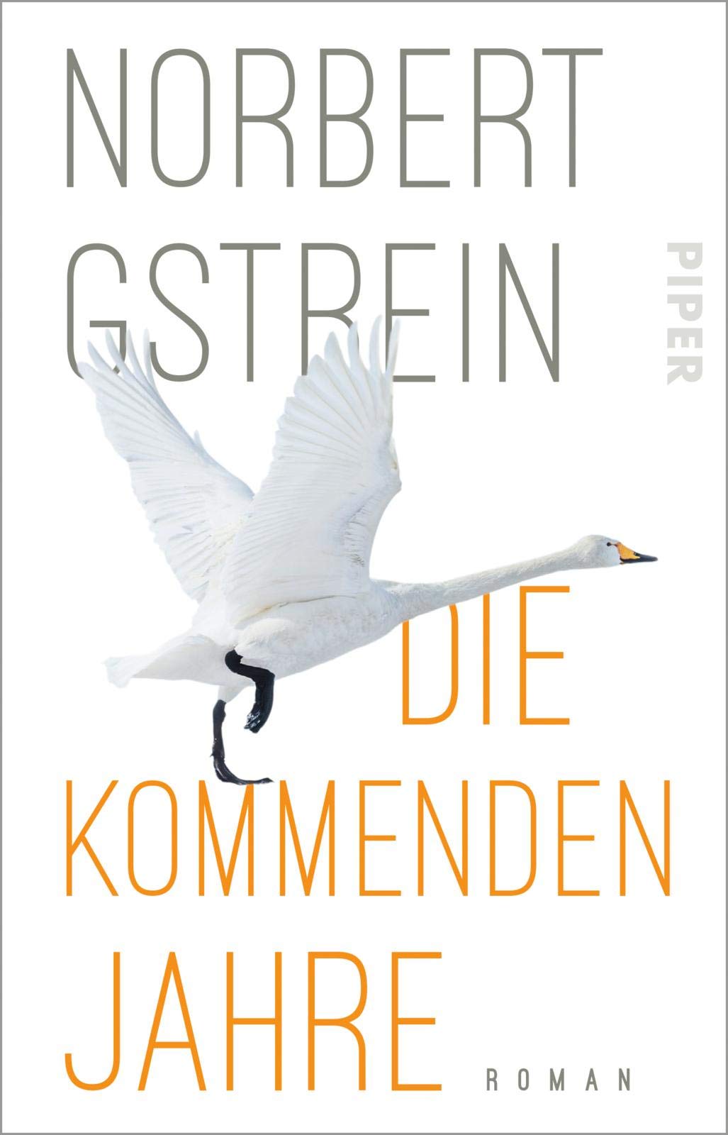 Die kommenden Jahre: Roman | Gesellschaftsroman über die Suche nach uns selbst Contemporary literature