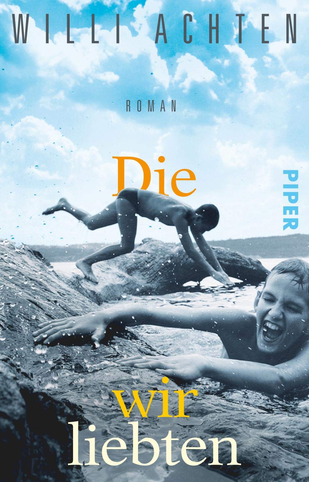 Product Image: Die wir liebten