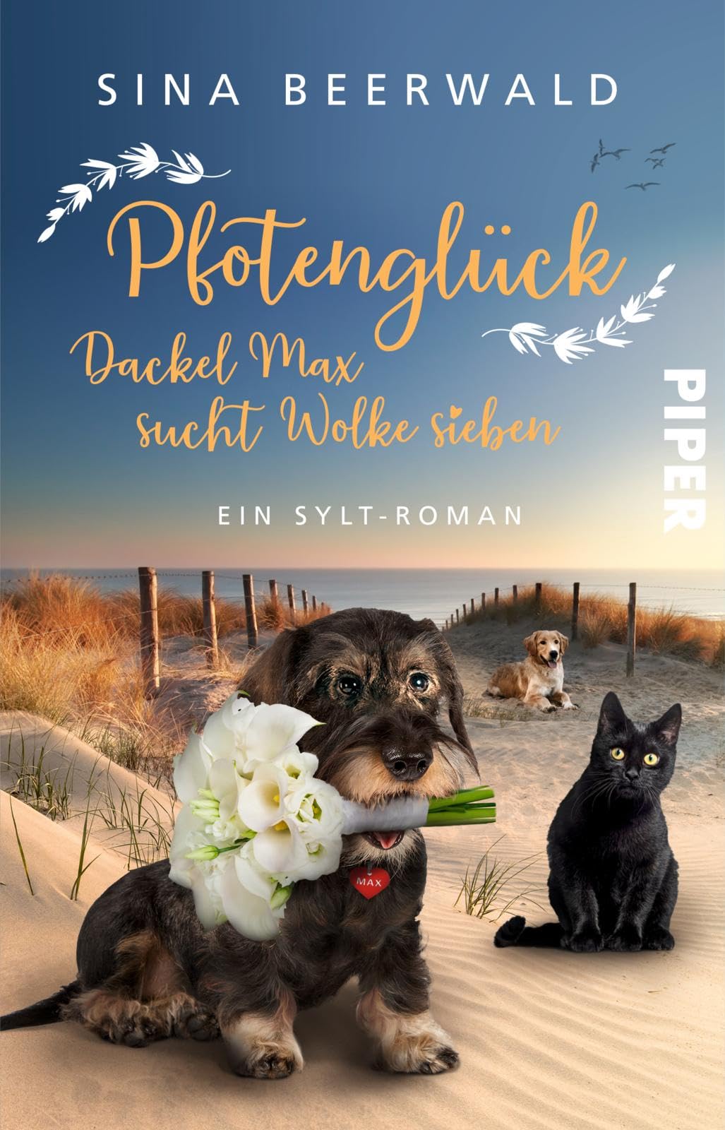Pfotenglück - Dackel Max sucht Wolke sieben Contemporary literature