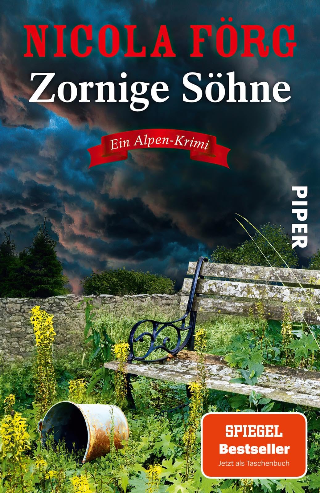 Zornige Söhne Contemporary literature