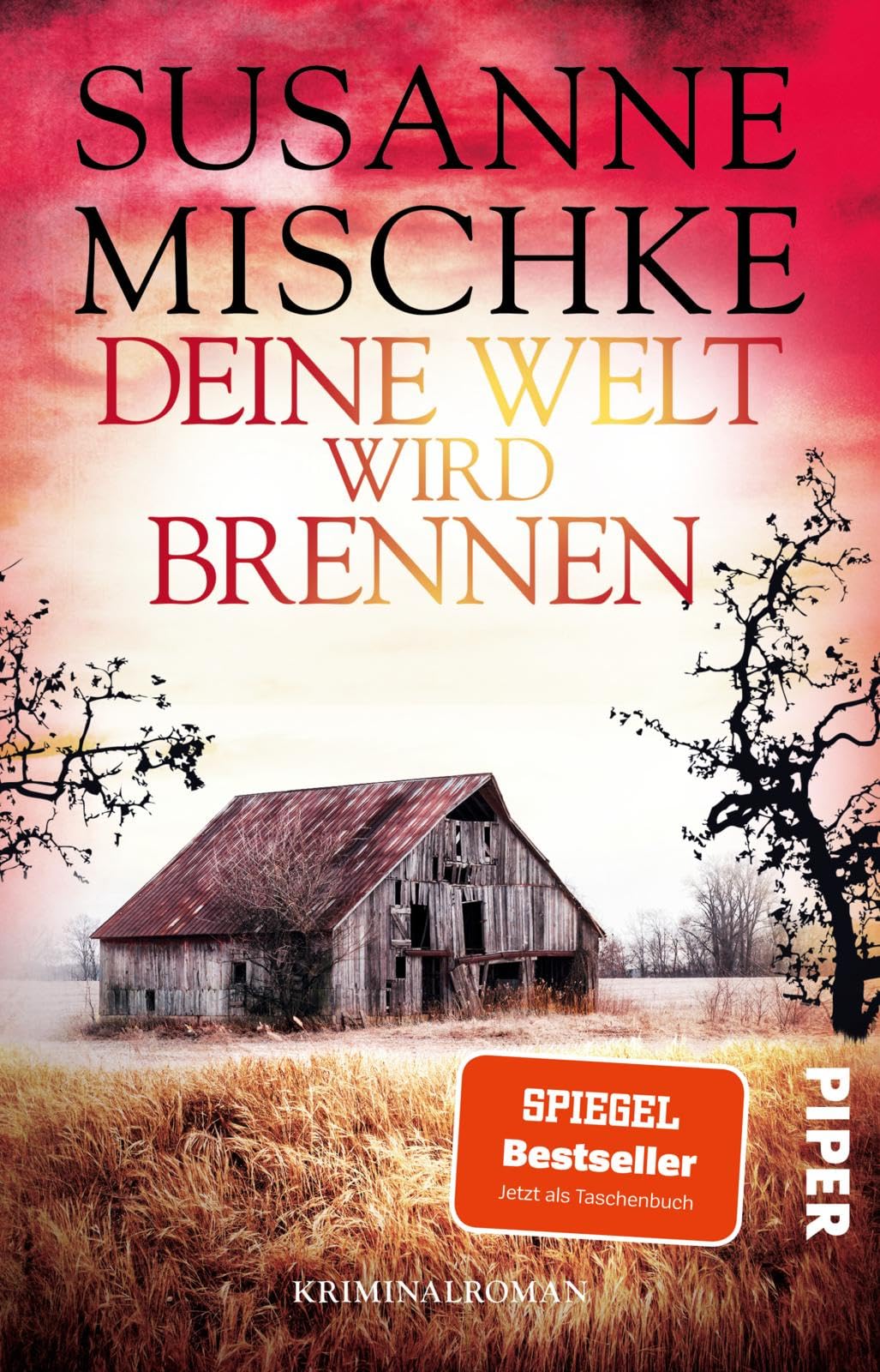 Product Image: Deine Welt wird brennen