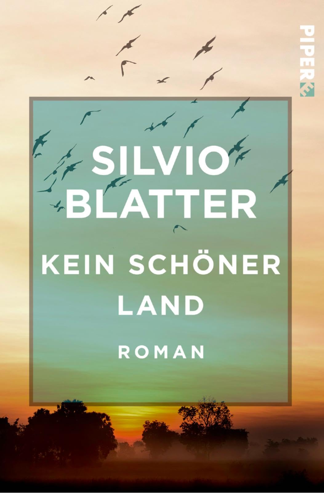 Kein schöner Land (Freiamt-Trilogie 2): Roman Contemporary literature