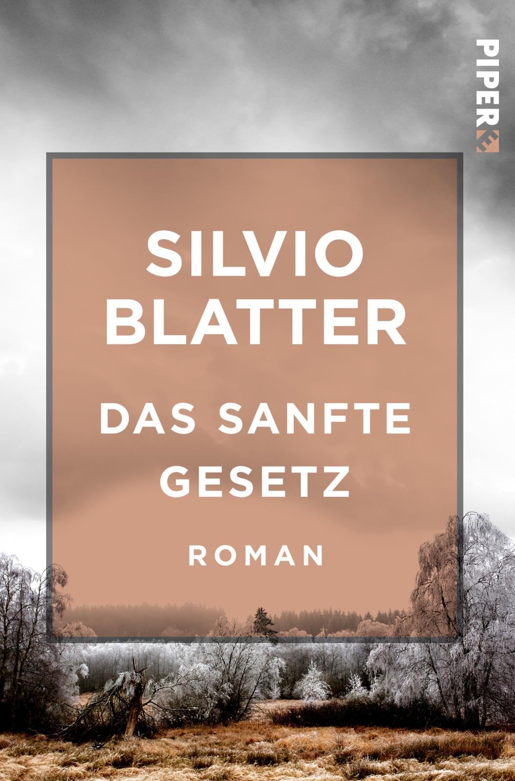 Das sanfte Gesetz Contemporary literature