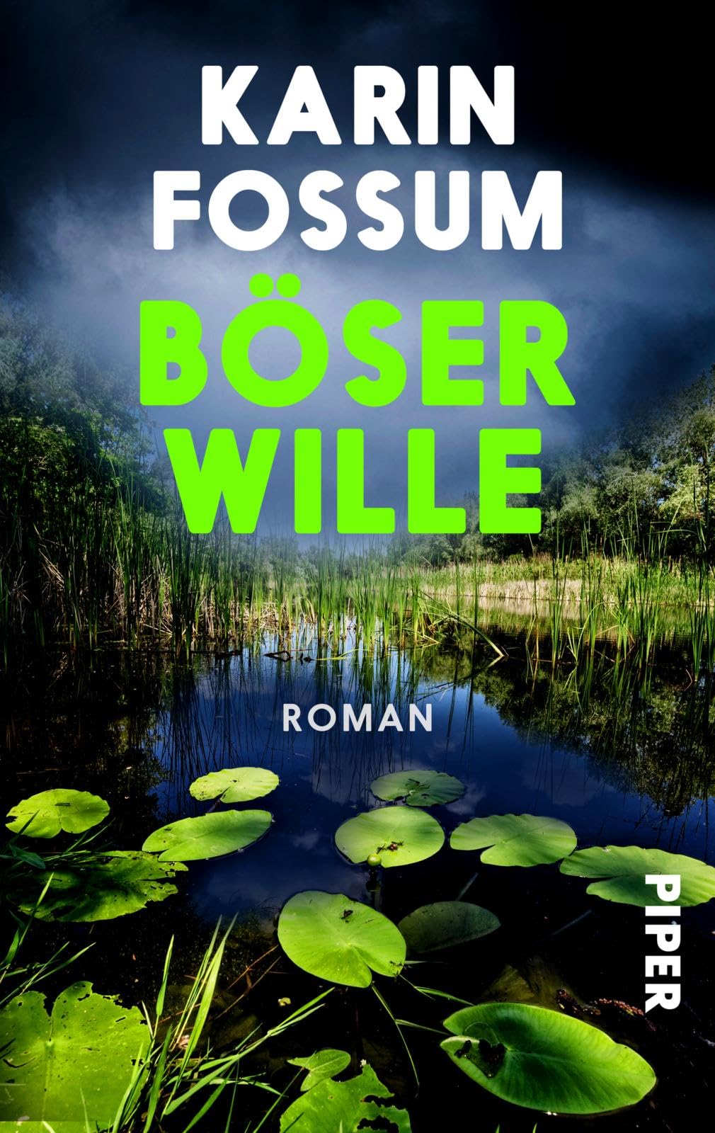 Böser Wille Contemporary literature Books
