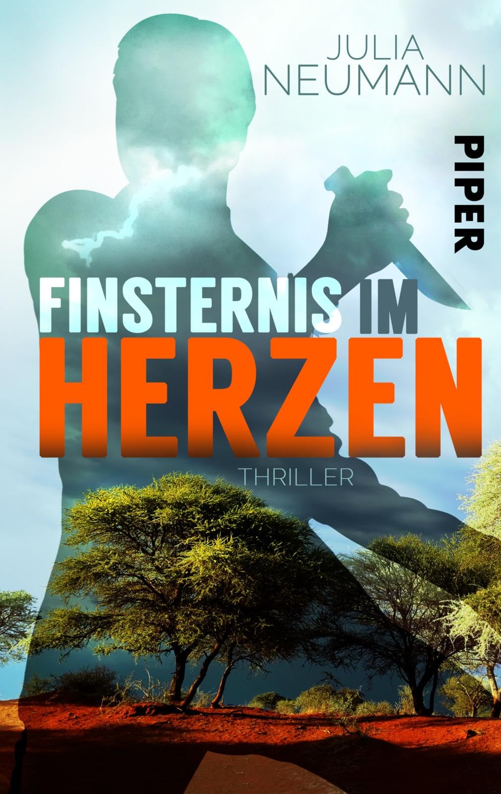 Finsternis im Herzen Contemporary literature Books
