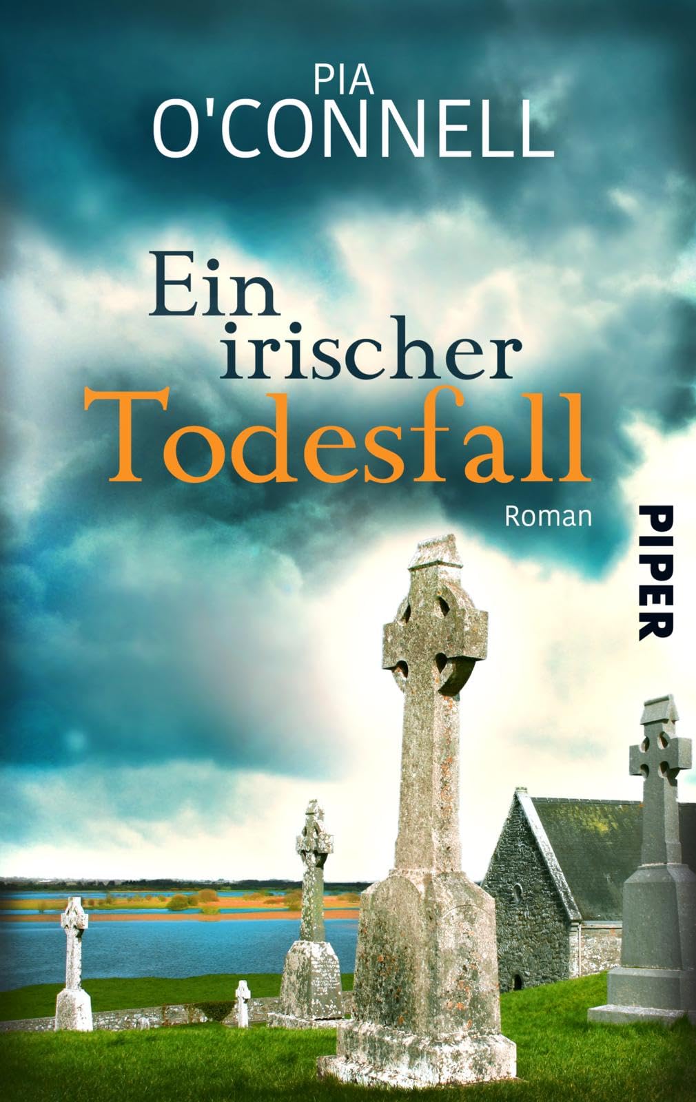 Ein irischer Todesfall Contemporary literature Books