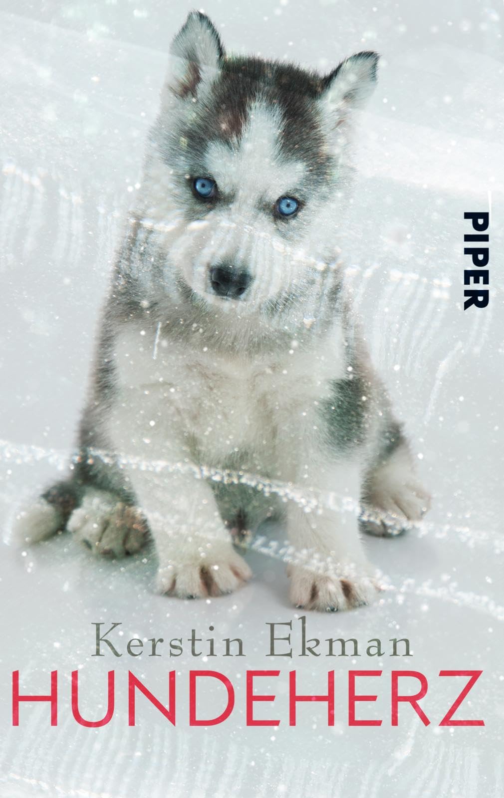 Hundeherz Contemporary literature Books
