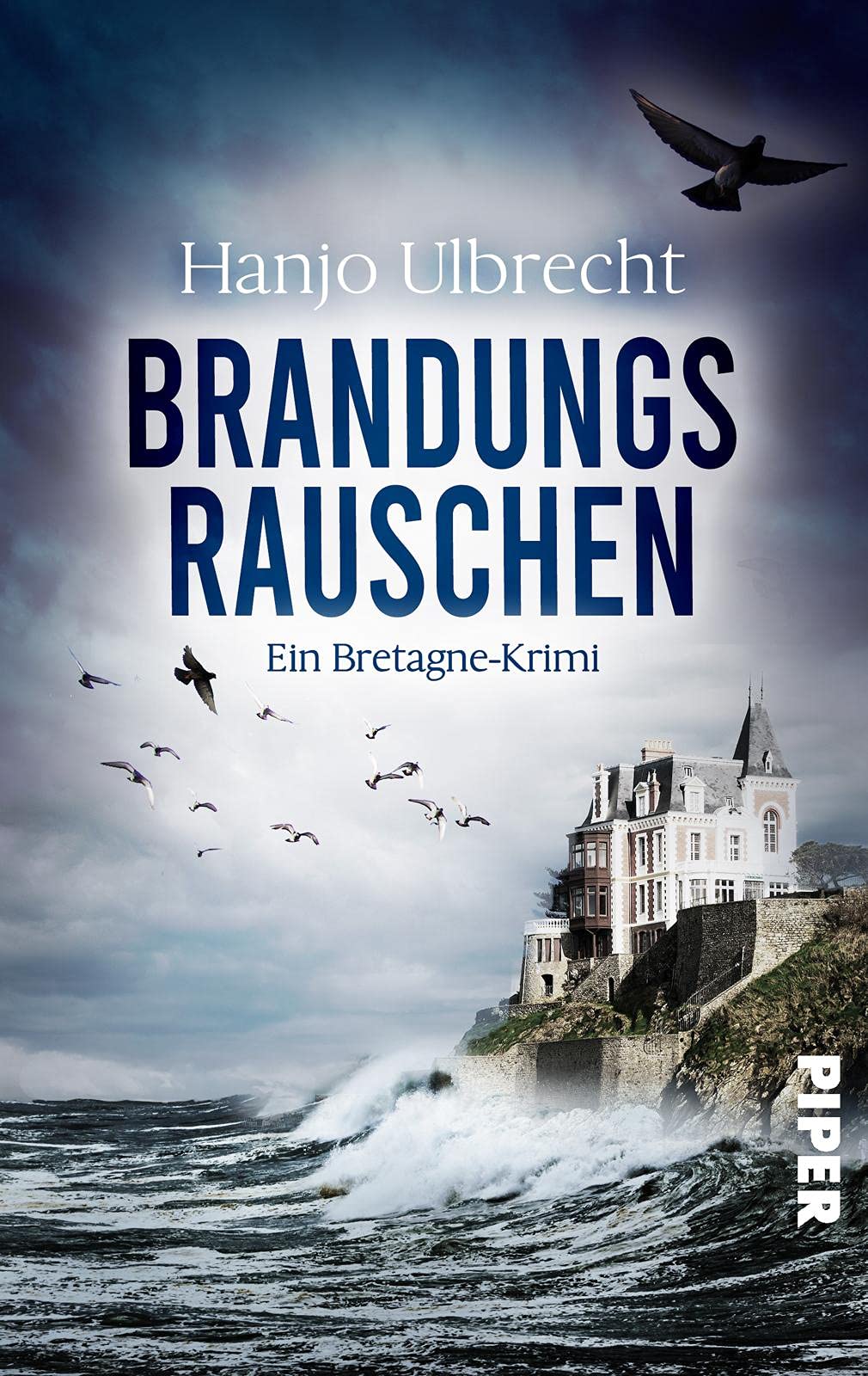 Brandungsrauschen Contemporary literature Books