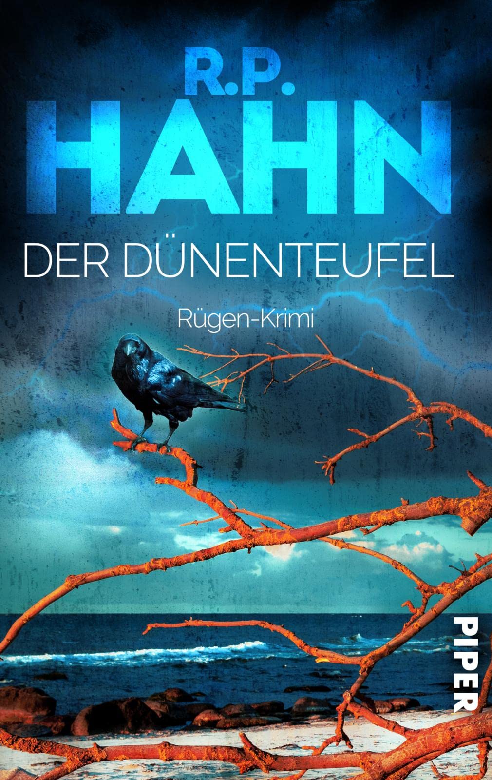 Der Dünenteufel Contemporary literature Books