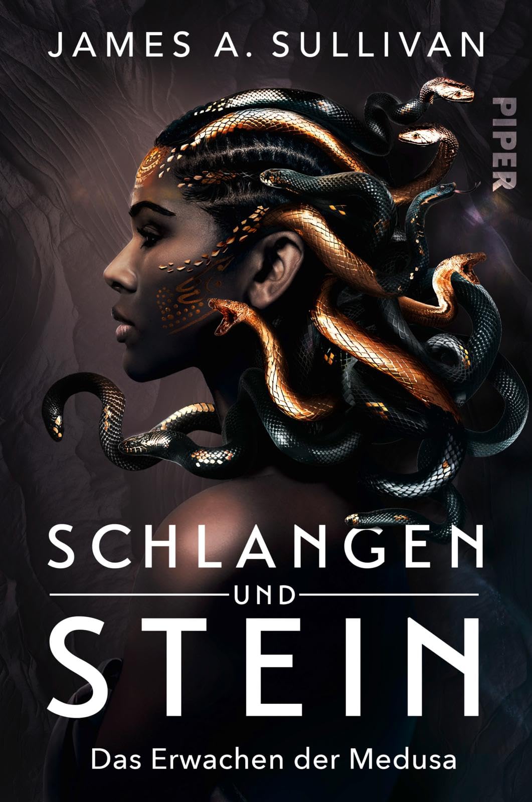 Schlangen und Stein Contemporary literature Books