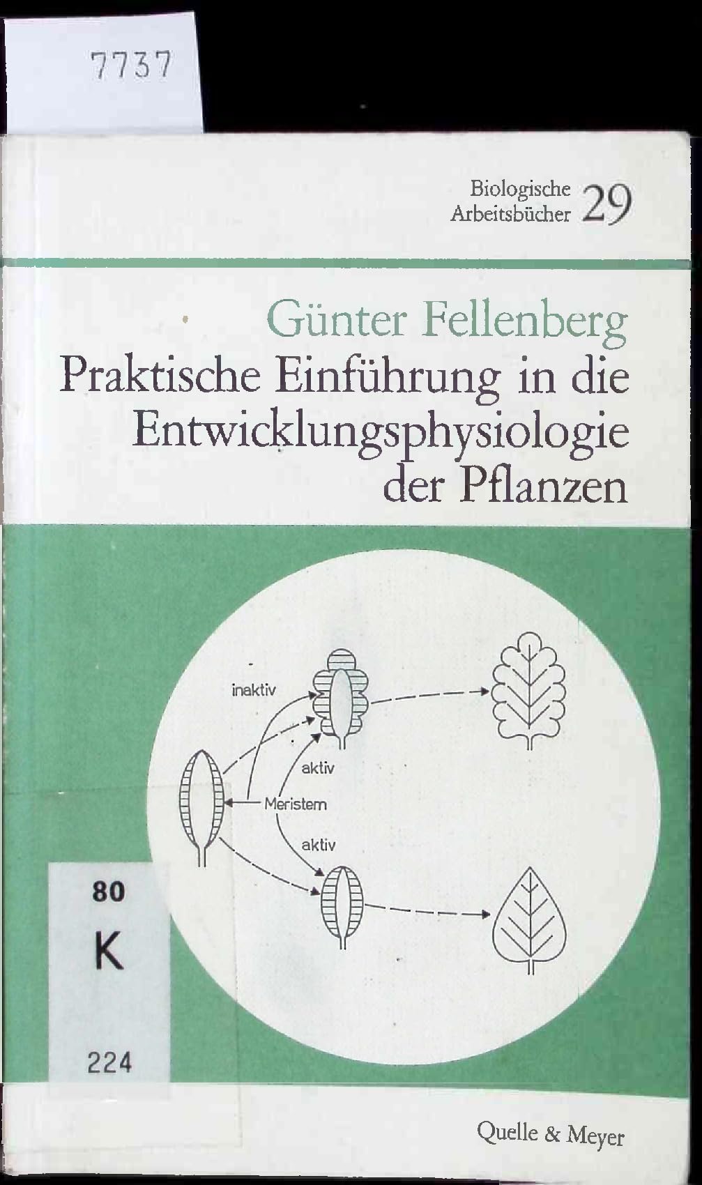 Praktische Einführung in die Entwicklungsphysiologie der Pflanzen Leisure, Home & Garden