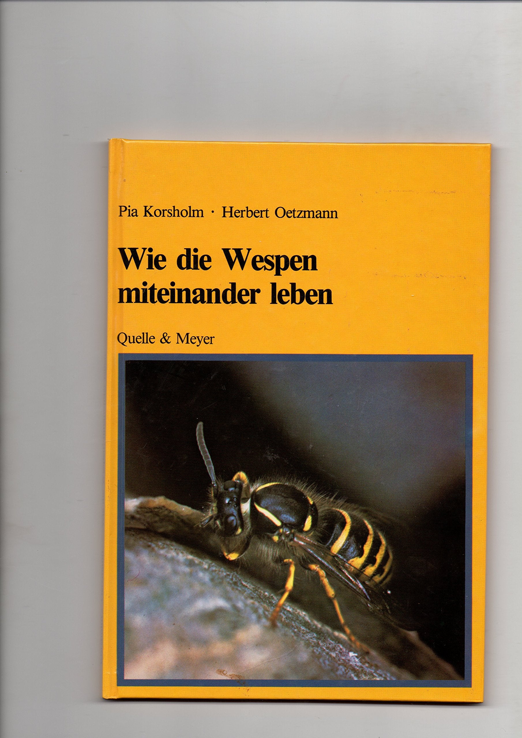 Wie die Wespen miteinander leben: (Wie die Insekten miteinander leben) Books