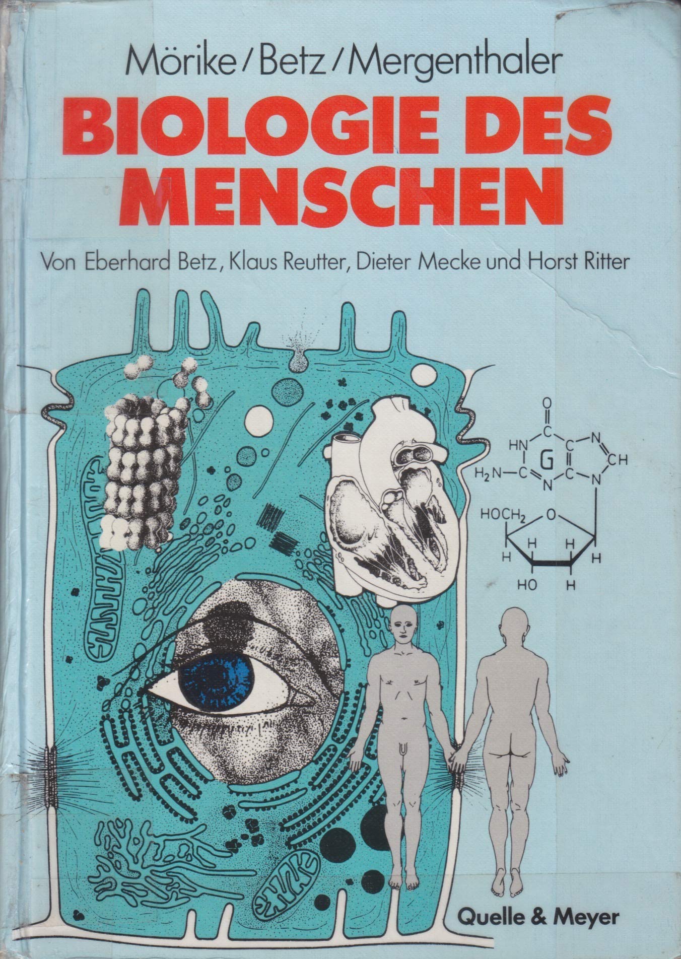 Biologie des Menschen Philosophy