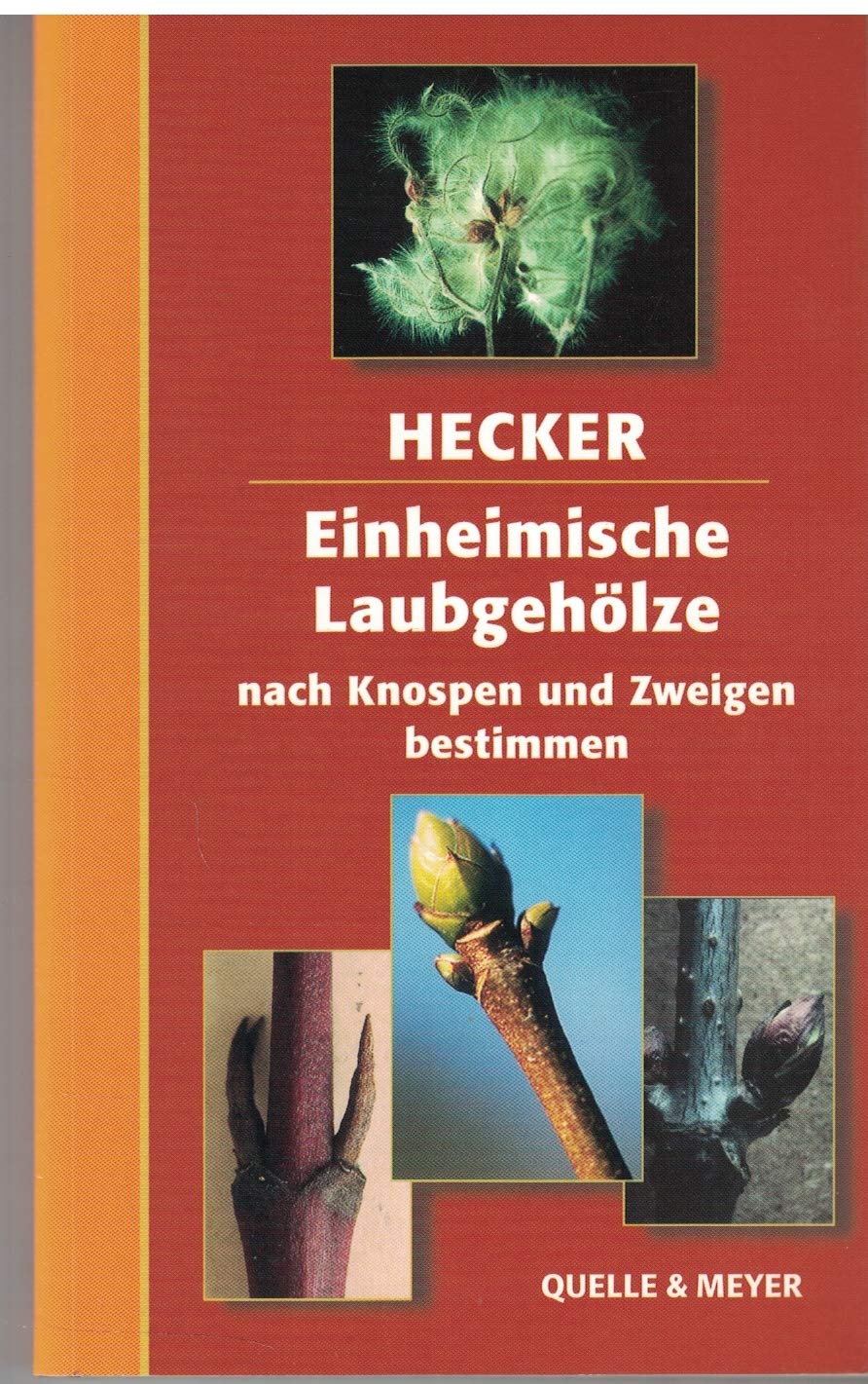 Blase Prüfungstrainer Natural Sciences