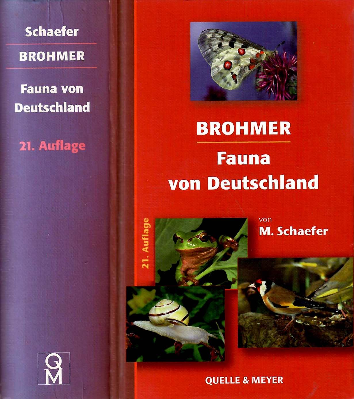 Brohmer - Fauna von Deutschland. Ein Bestimmungsbuch unserer heimischen Tierwelt Books