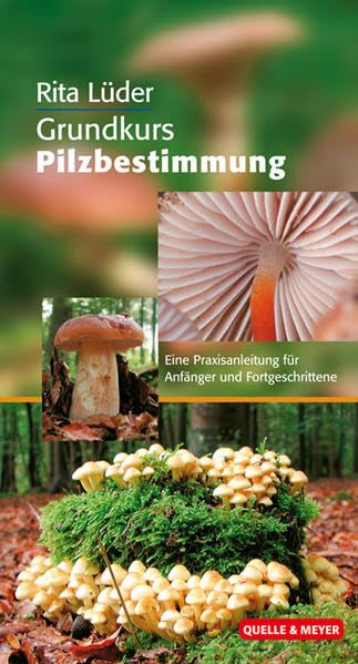 Grundkurs Pilzbestimmung: Eine Praxisanleitung für Anfänger und Fortgeschrittene (Quelle & Meyer Bestimmungsbücher) Leisure, Home & Garden