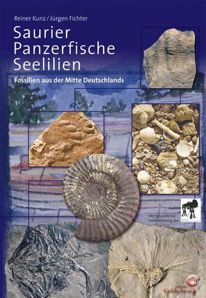 Saurier, Panzerfische, Seelilien: Fossilien aus der Mitte Deutschlands Business & Technology