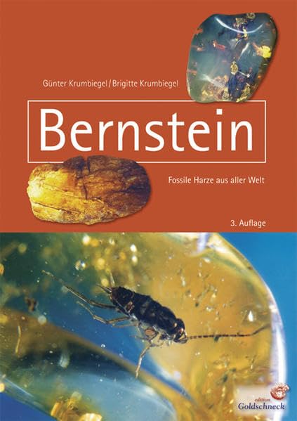 Bernstein: Fossile Harze aus aller Welt Leisure, Home & Garden