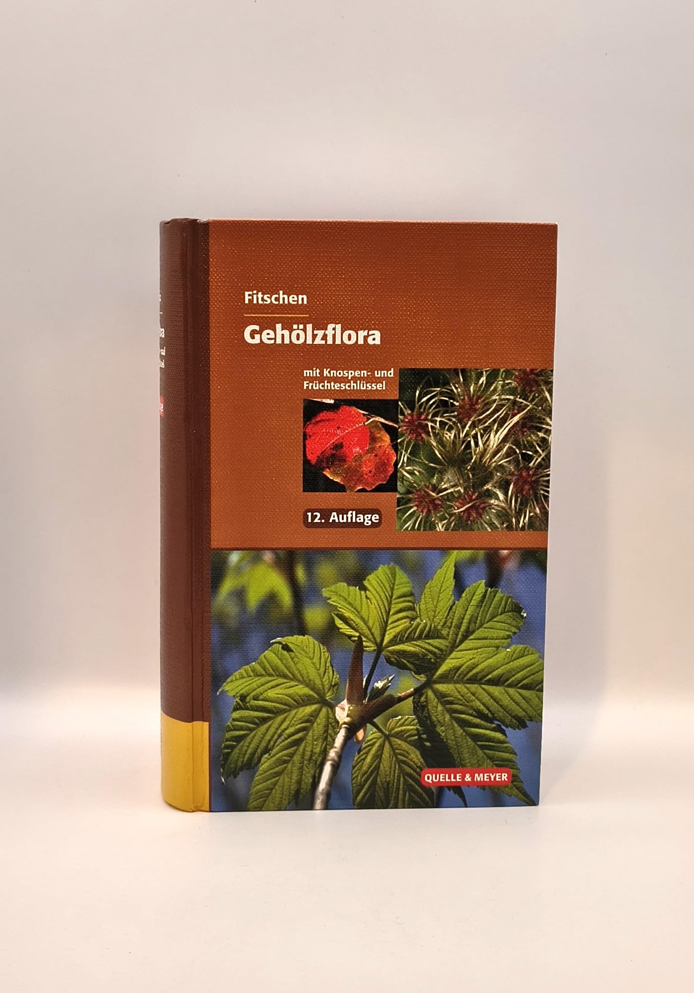 Product Image: Gehölzflora