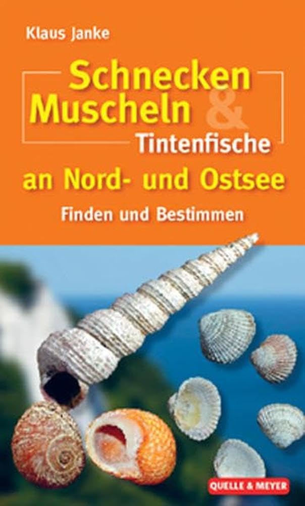 Schnecken, Muscheln & Tintenfische an Nord- und Ostsee Leisure, Home & Garden
