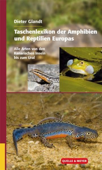 Taschenlexikon der Amphibien und Reptilien Europas. Alle Arten von den Kanarischen Inseln bis zum Ural Leisure, Home & Garden