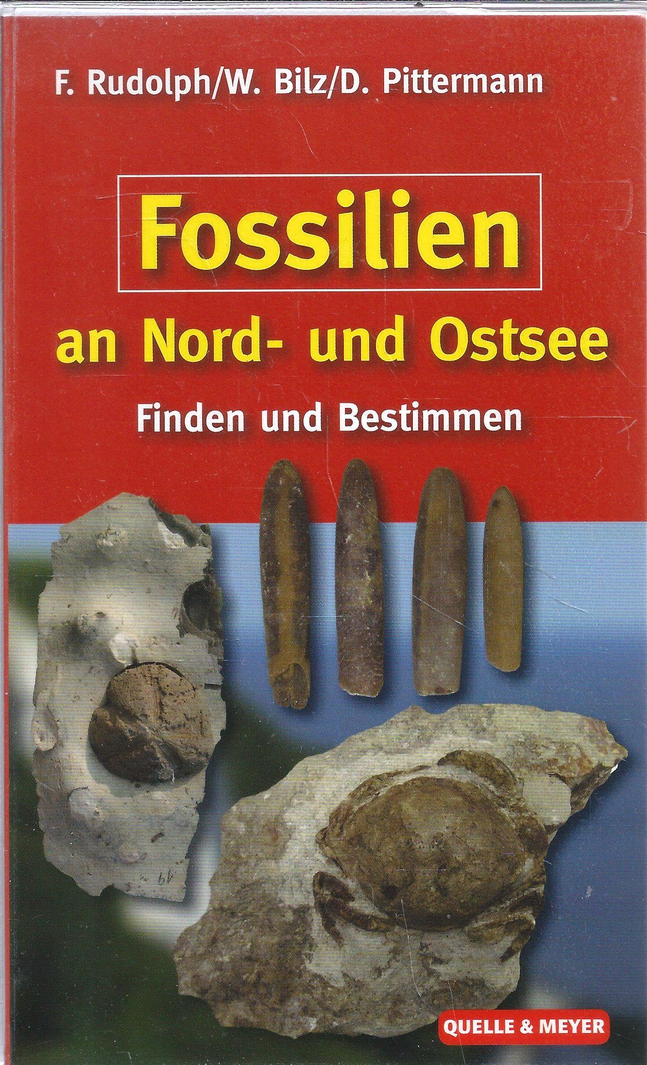Fossilien an Nord- und Ostsee Leisure, Home & Garden