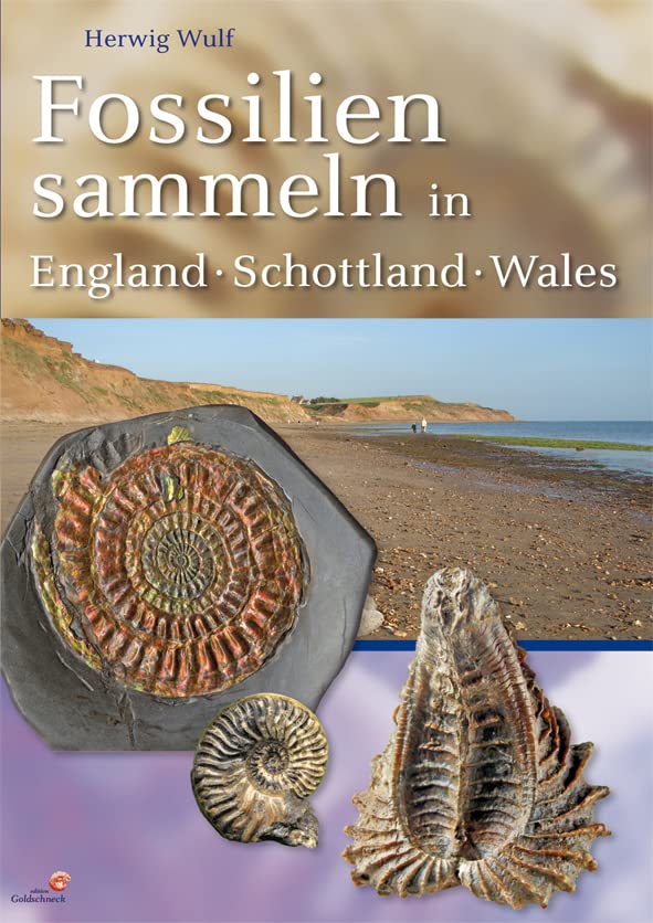 Fossilien sammeln in England - Wales - Schottland Leisure, Home & Garden
