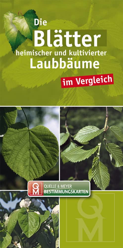 Die Blätter heimischer und kultivierter Laubbäume im Vergleich (Quelle & Meyer Bestimmungskarten) Leisure, Home & Garden