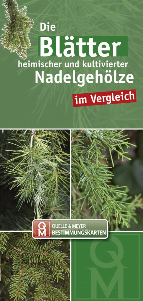 Die Blätter heimischer und kultivierter Nadelgehölze im Vergleich (Quelle & Meyer Bestimmungskarten) Leisure, Home & Garden