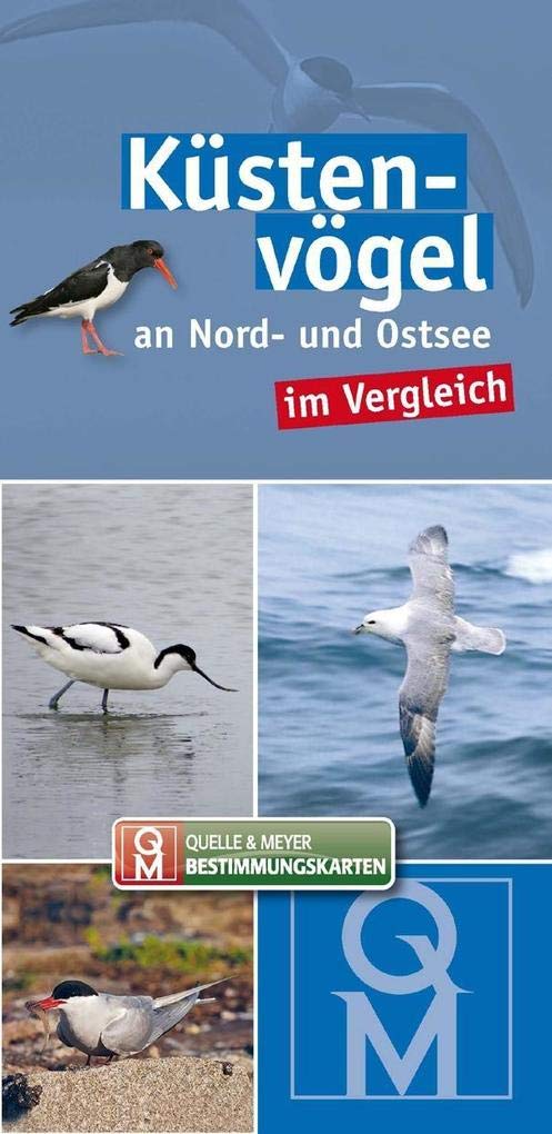 Küstenvögel: an Nord- und Ostsee im Vergleich (Quelle & Meyer Bestimmungskarten) Leisure, Home & Garden