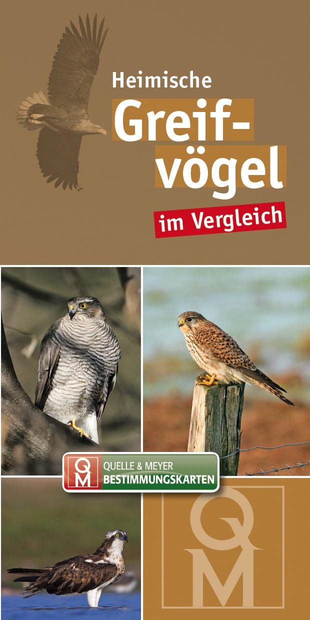 Greifvögel (Quelle & Meyer Bestimmungskarten) Leisure, Home & Garden