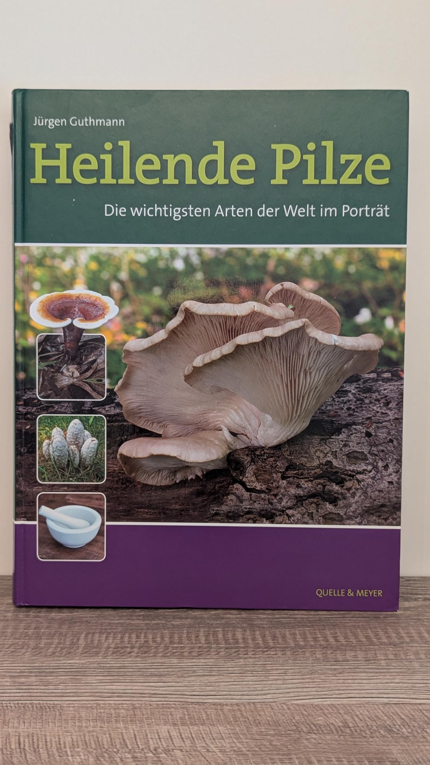 Heilende Pilze: Die wichtigsten Arten der Welt im Porträt Leisure, Home & Garden