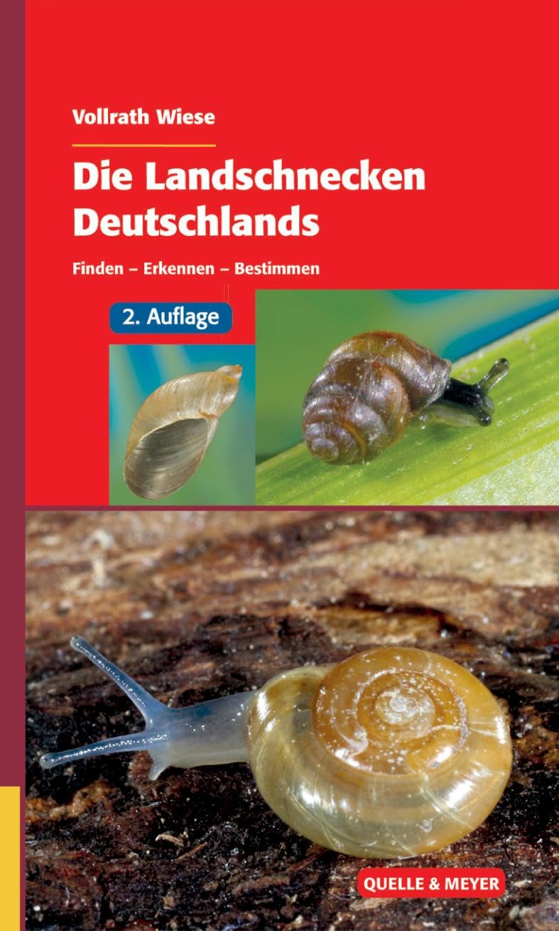 Die Landschnecken Deutschlands Science