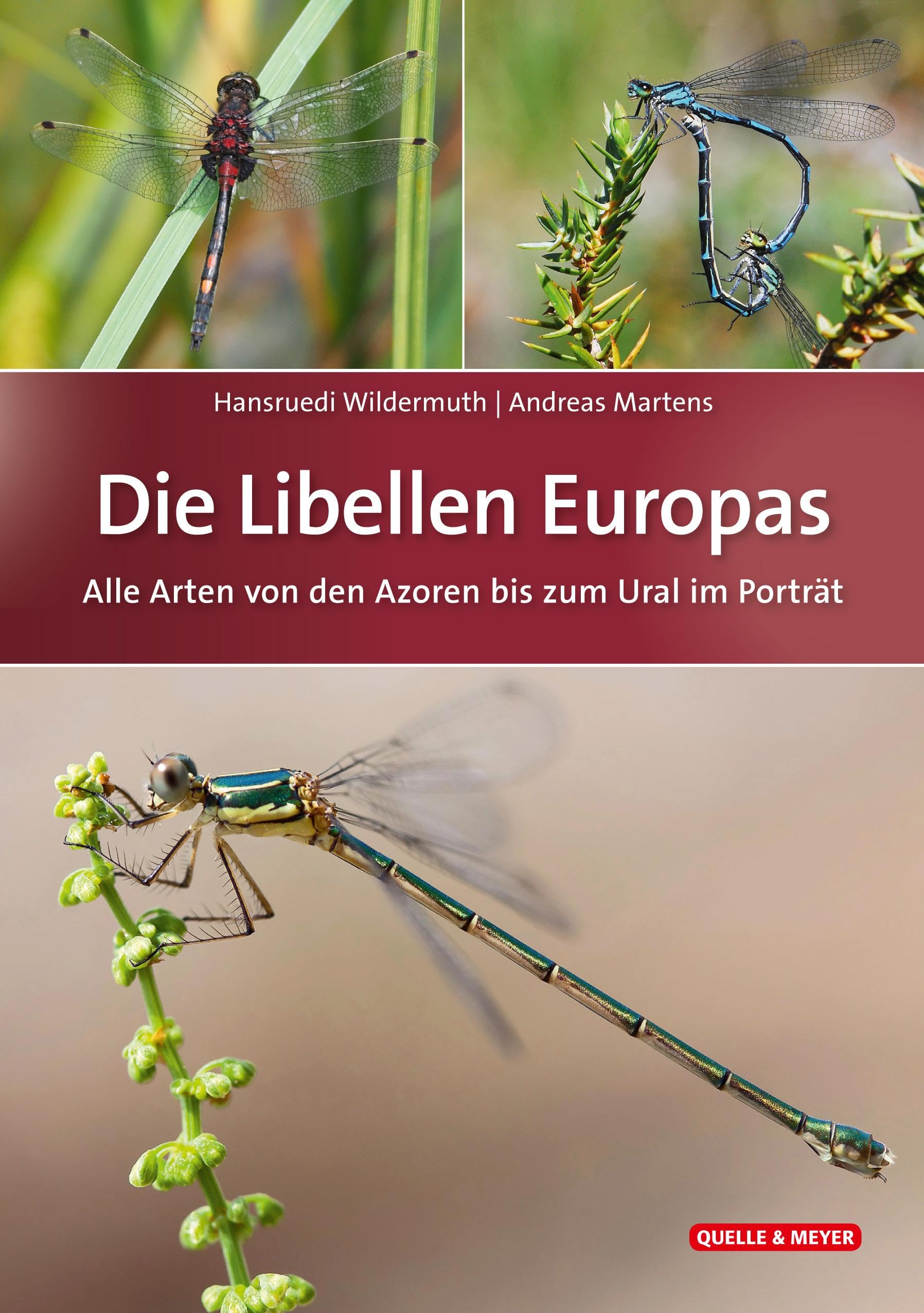 Die Libellen Europas: Alle Arten von den Azoren bis zum Ural im Porträt Leisure, Home & Garden