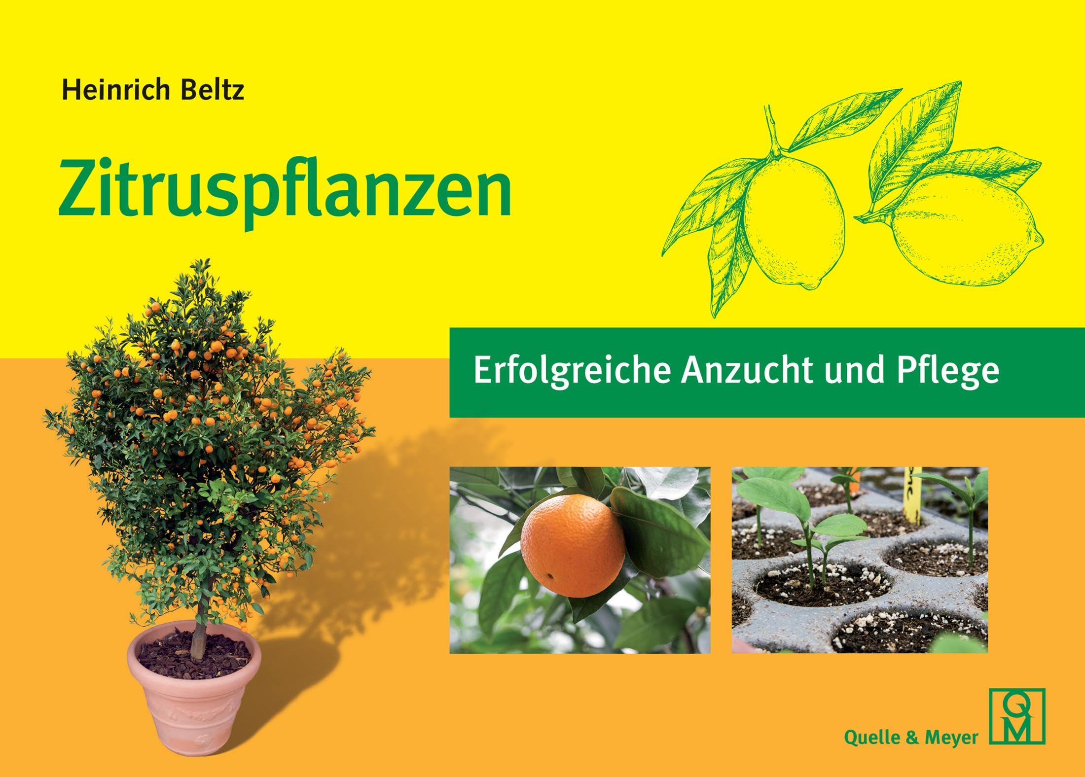 Zitruspflanzen Garden & Plants
