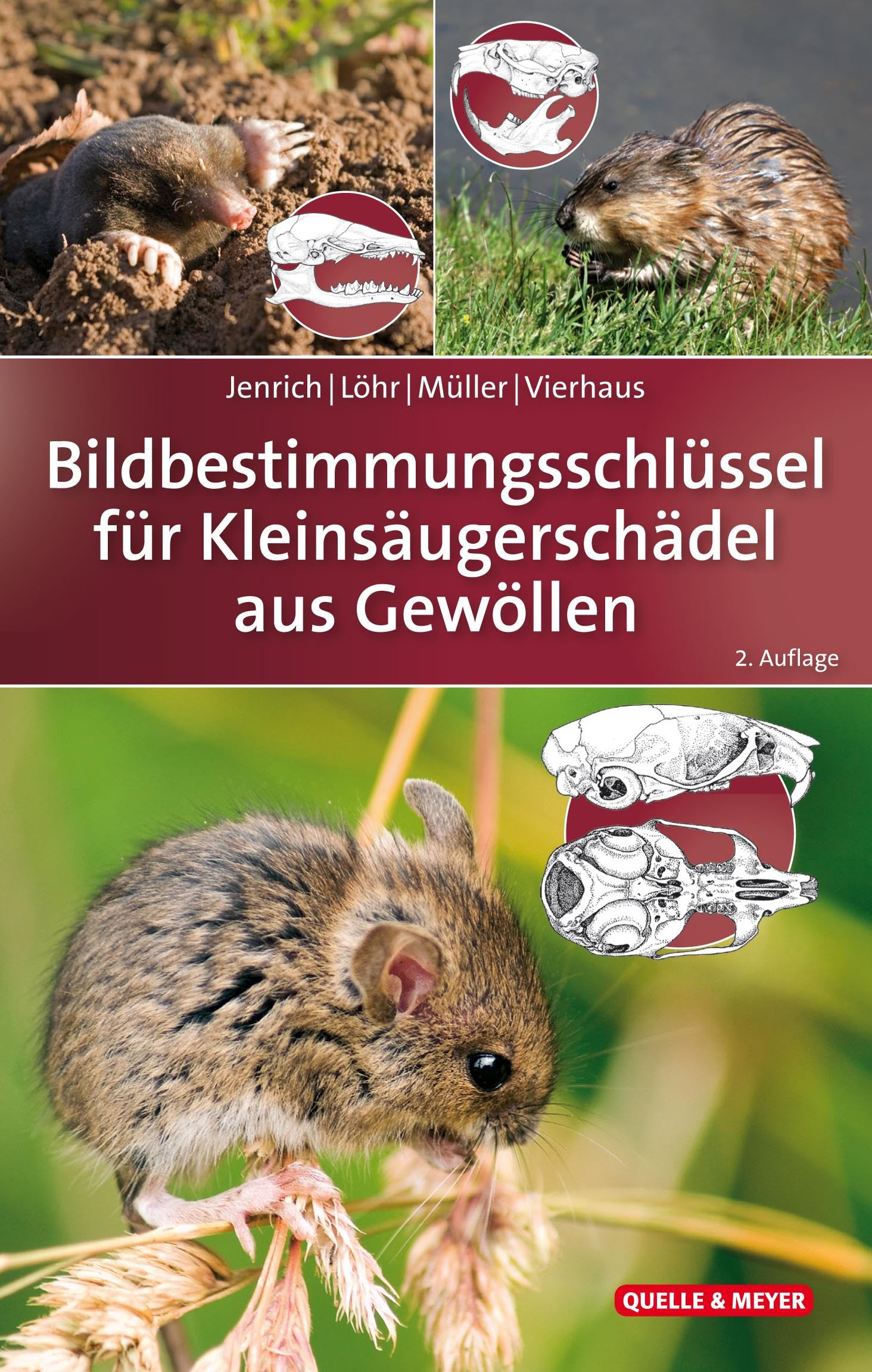 Bildbestimmungsschlüssel für Kleinsäugerschädel aus Gewöllen Natural Sciences
