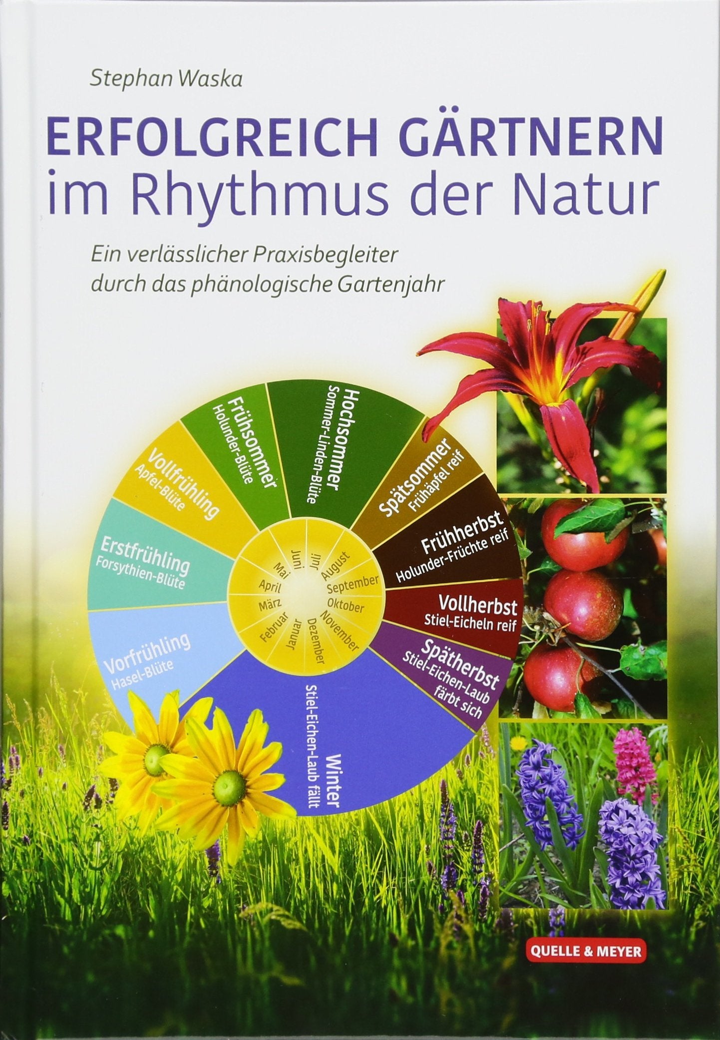 ERFOLGREICH GÄRTNERN im Rhythmus der Natur: Ein verlässlicher Praxisbegleiter durch das phänologische Gartenjahr Garden & Plants