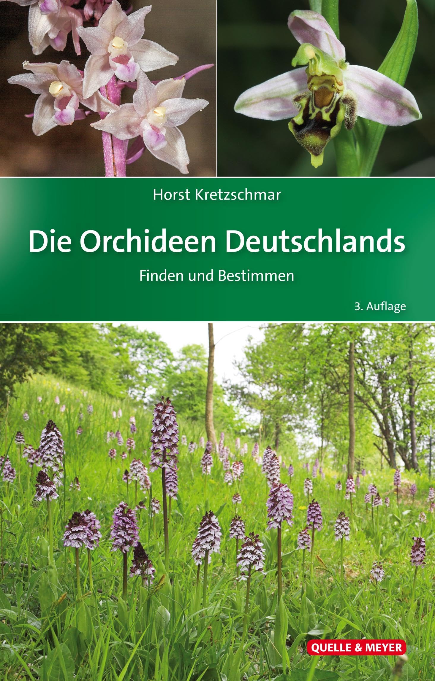 Die Orchideen Deutschlands Leisure, Home & Garden