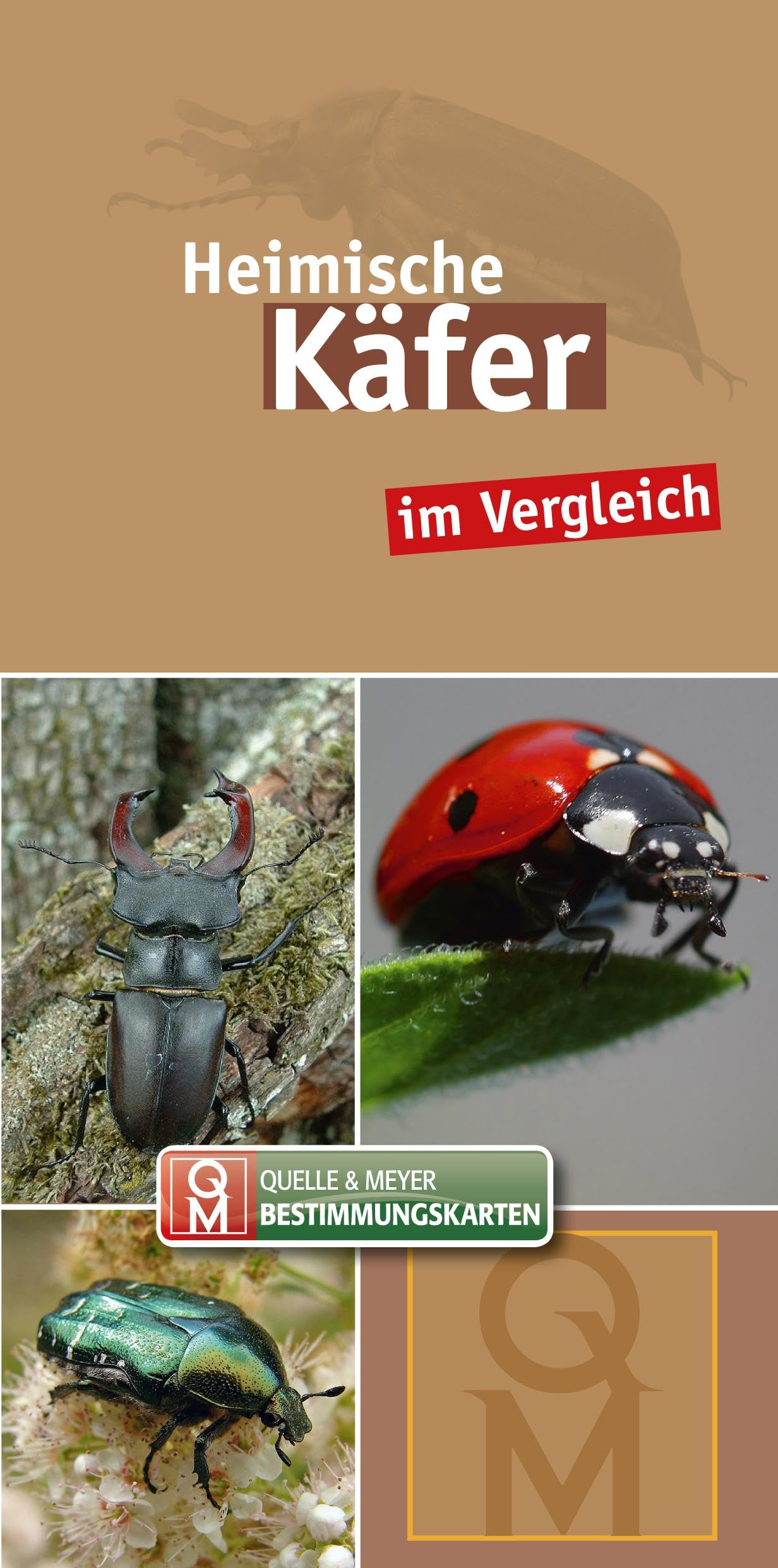 Heimische Käfer: im Vergleich (Quelle & Meyer Bestimmungskarten) Leisure, Home & Garden