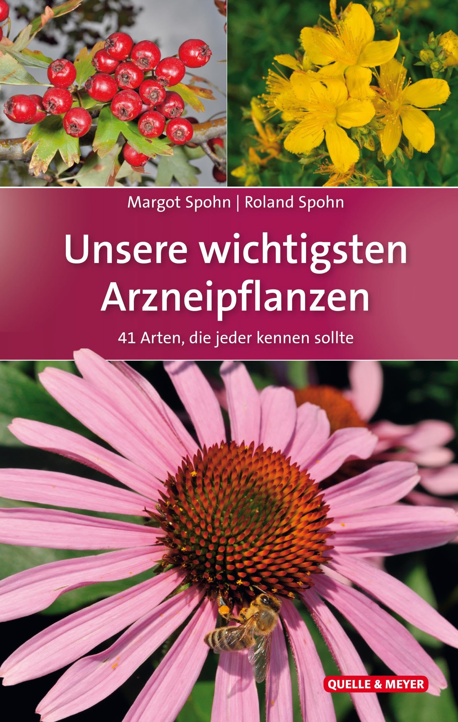 Unsere wichtigsten Arzneipflanzen Medicine