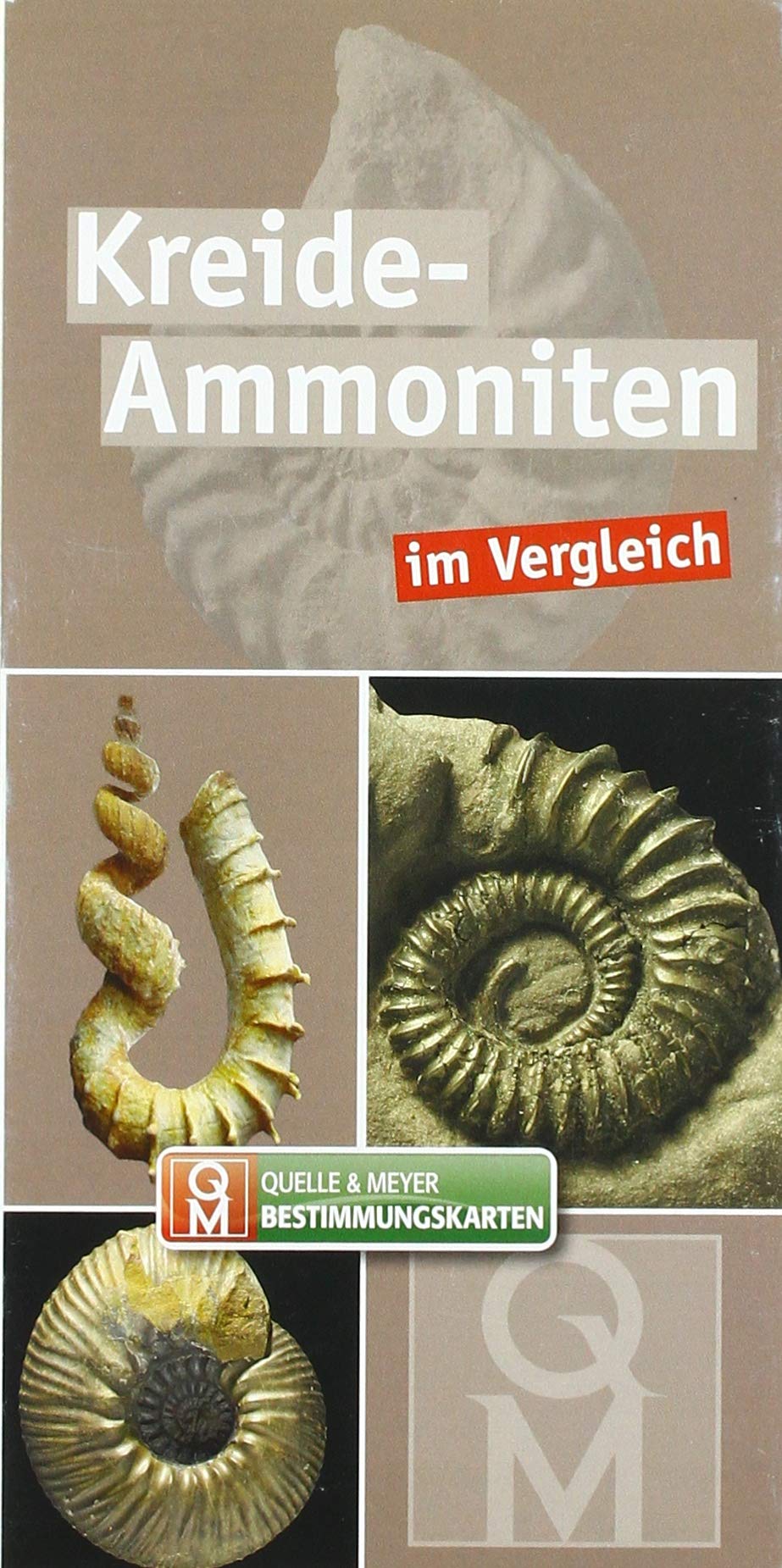 Kreide-Ammoniten: im Vergleich (Quelle & Meyer Bestimmungskarten) Leisure, Home & Garden